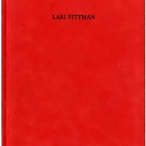 Lari Pittman