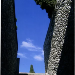 Génération 2007